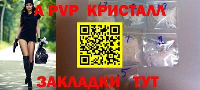 стаф Кандалакша