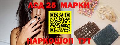 стаф Кандалакша