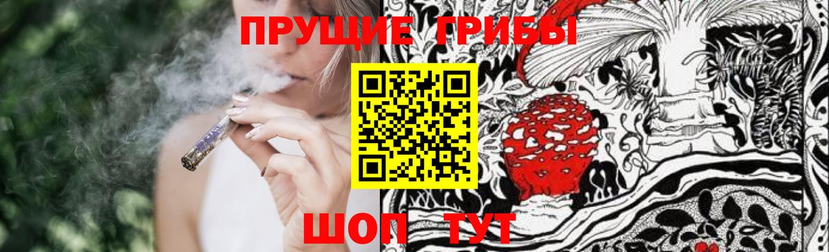 Галлюциногенные грибы MAGIC MUSHROOMS  Вход с VPN  Жуковский 